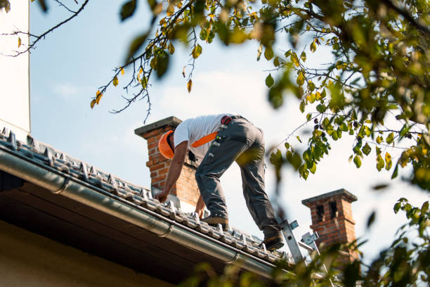 Roof Gutter Cleaning in Clarendon, AR